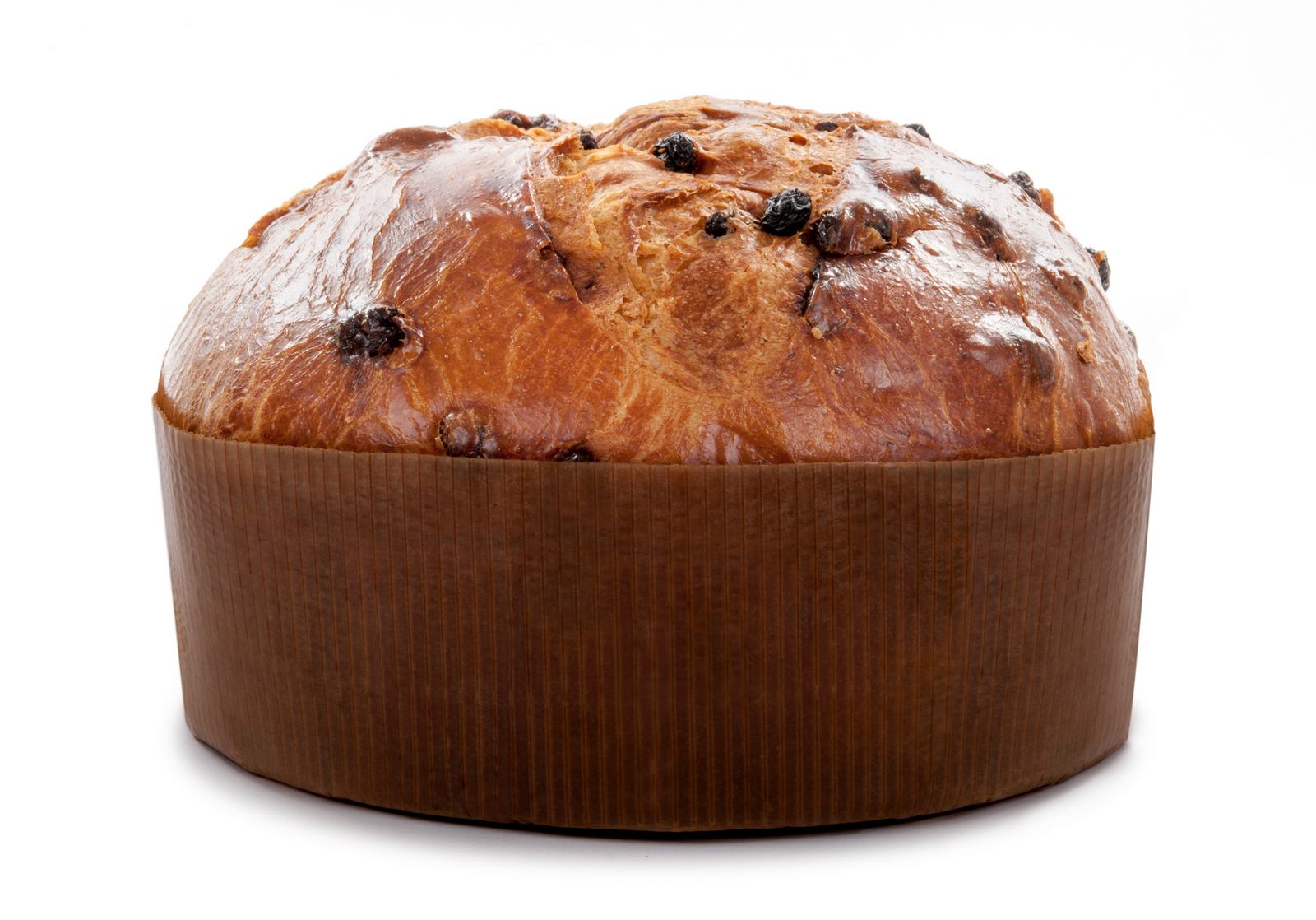 Panettone Tradition Hope